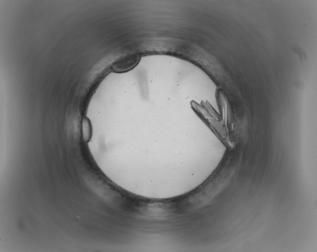 X0000112750064200910011203