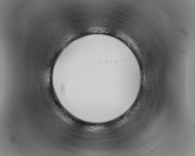 X0000112750065200910011203