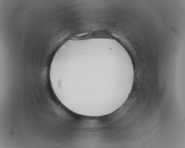 X0000112750066200910011203