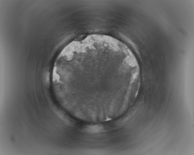 X0000112750067200910011203