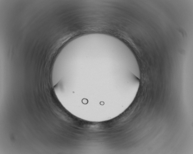 X0000112750068200910011203