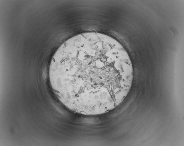 X0000112750069200910011203