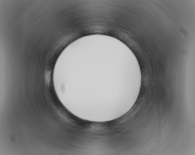 X0000112750070200910011203