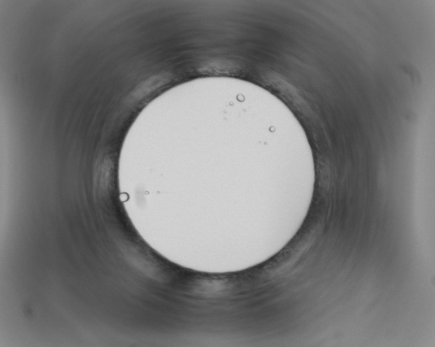 X0000112750071200910011203