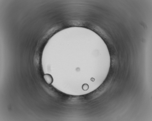 X0000112750072200910011204