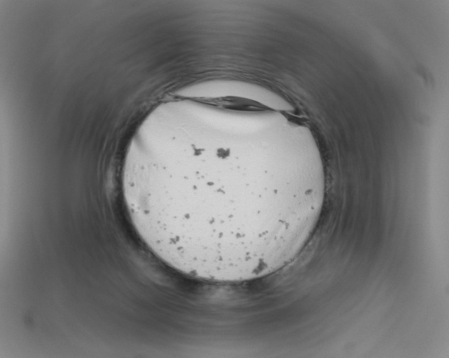 X0000112750074200910011204