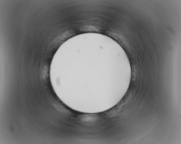 X0000112750077200910011204