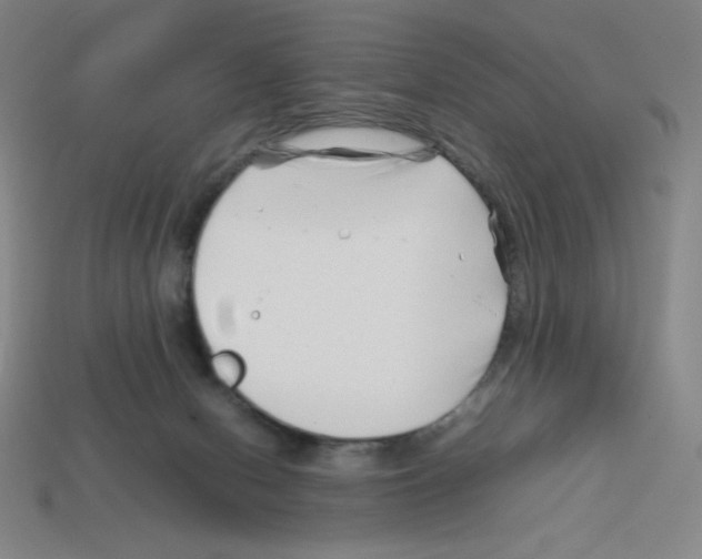 X0000112750078200910011204