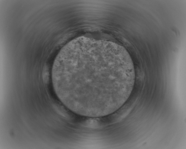 X0000112750080200910011204