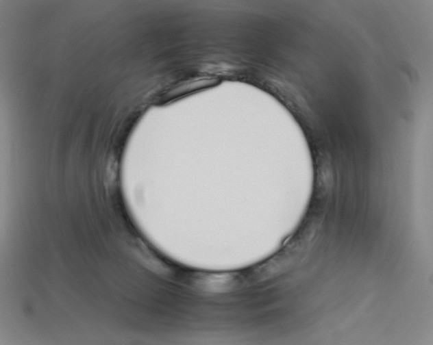 X0000112750081200910011204