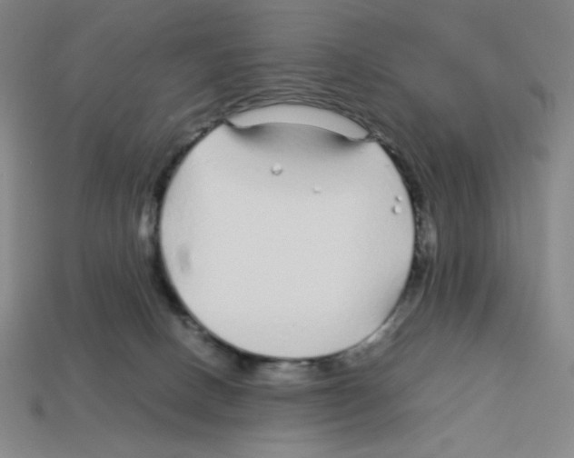 X0000112750082200910011204