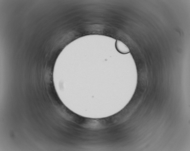 X0000112750083200910011204