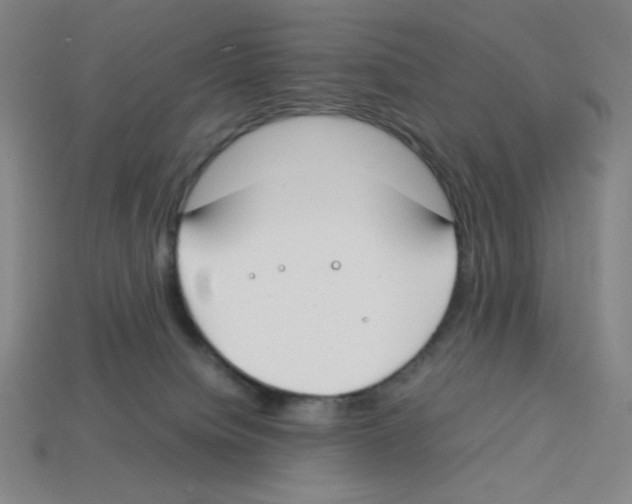 X0000112750084200910011204