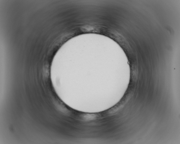 X0000112750085200910011204