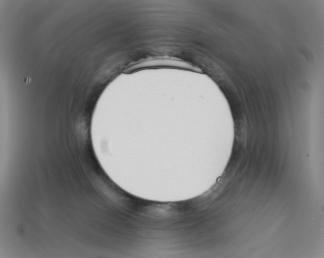 X0000112750086200910011204