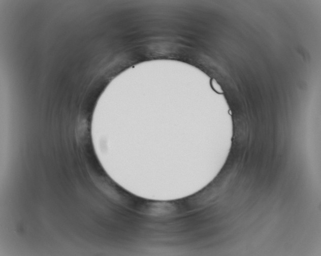 X0000112750087200910011204