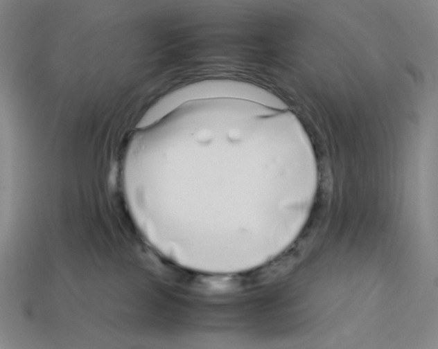 X0000112750089200910011204