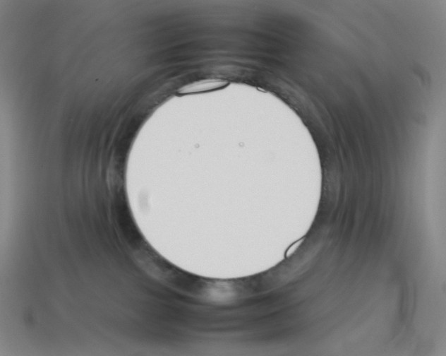 X0000112750091200910011204