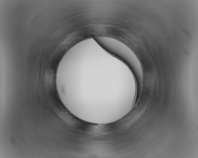 X0000112750092200910011204