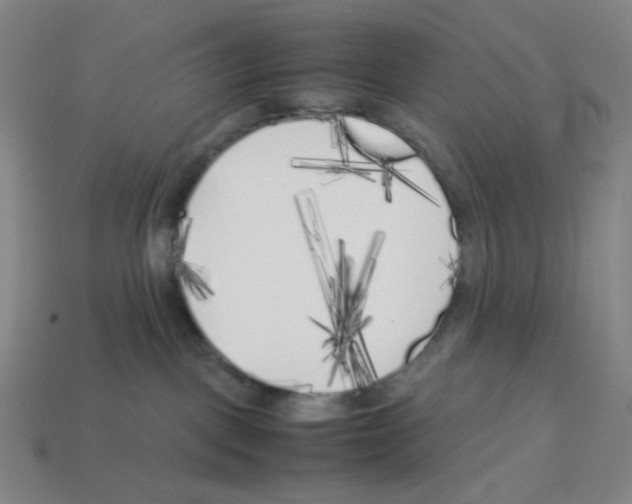 X0000112750093200910011204