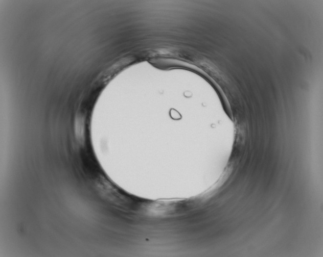 X0000112750094200910011204