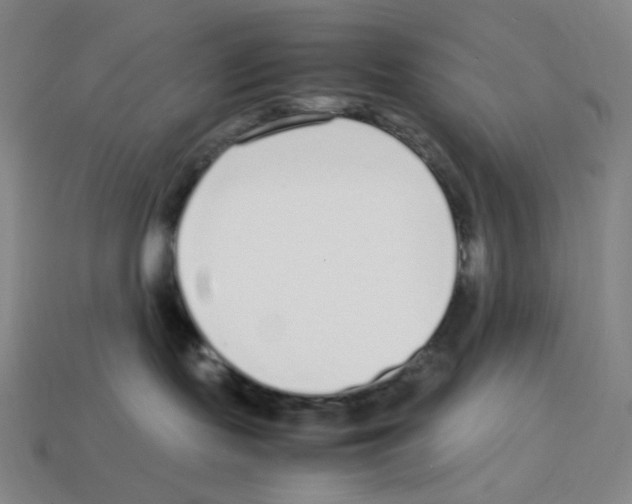 X0000112750095200910011204