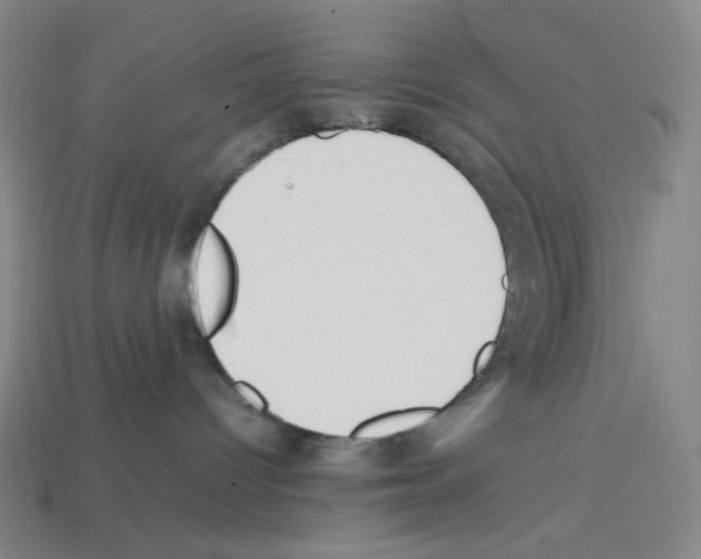 X0000112750096200910011204