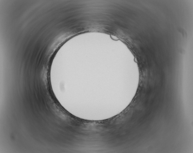 X0000112750098200910011203