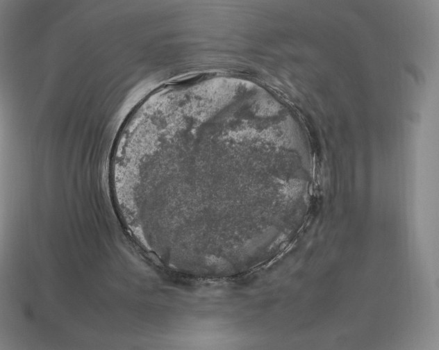 X0000112750099200910011203