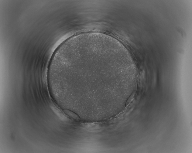 X0000112750100200910011203