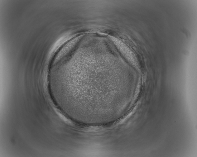 X0000112750101200910011203