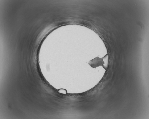 X0000112750103200910011203