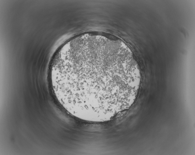 X0000112750104200910011203