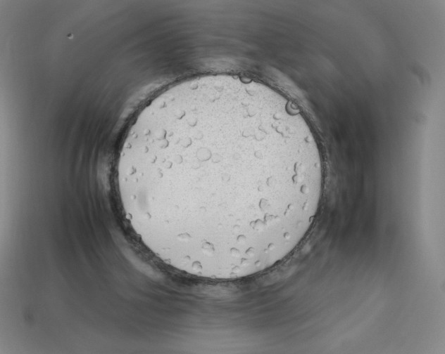 X0000112750106200910011203