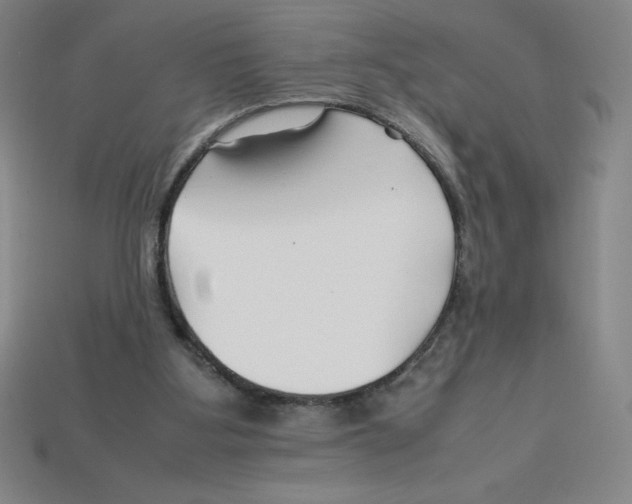 X0000112750107200910011203