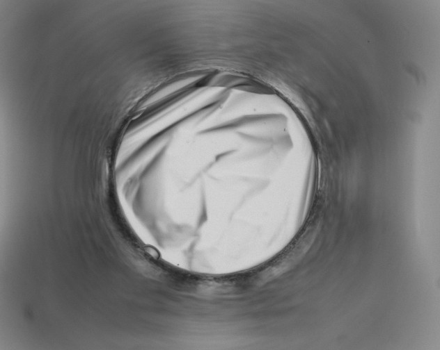 X0000112750109200910011203