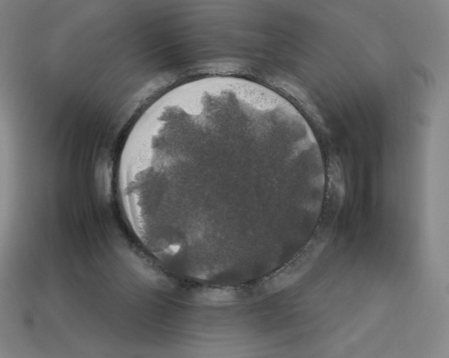 X0000112750110200910011203