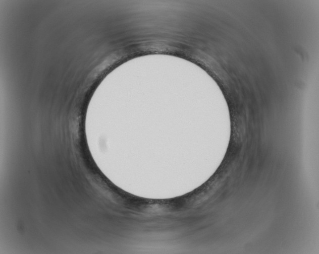 X0000112750111200910011203