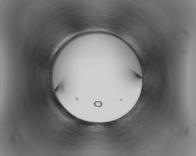 X0000112750112200910011203