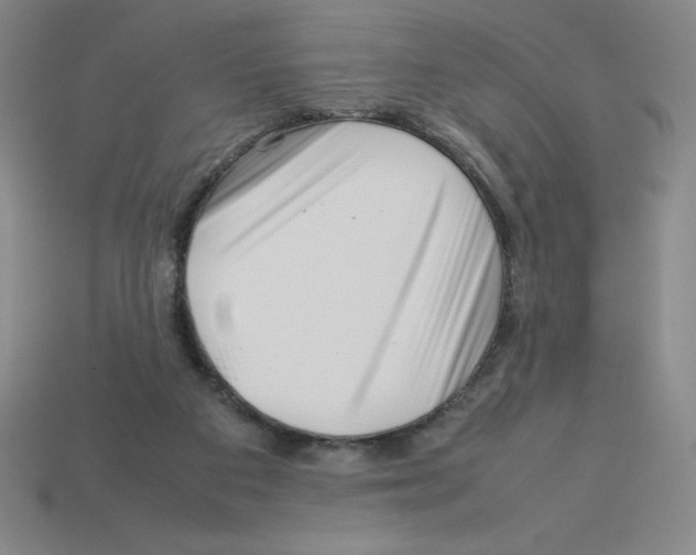 X0000112750113200910011203