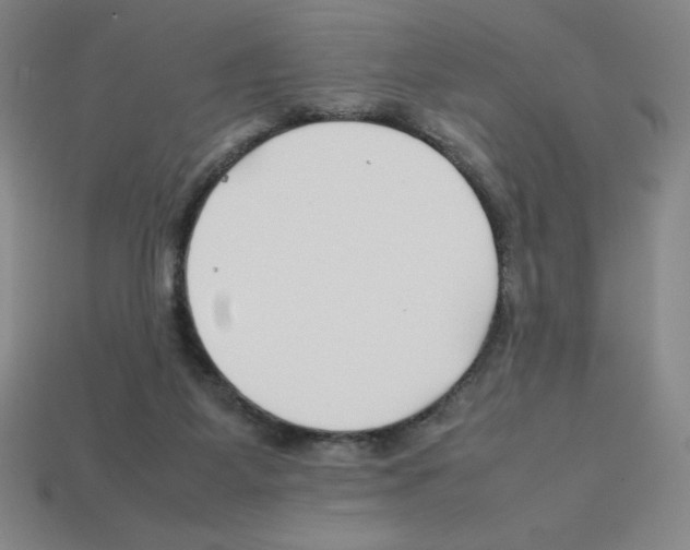 X0000112750115200910011203