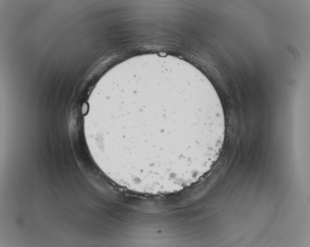 X0000112750116200910011203