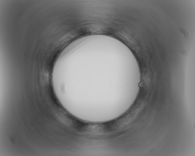 X0000112750117200910011203