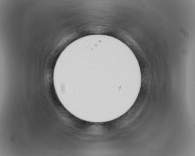 X0000112750119200910011203