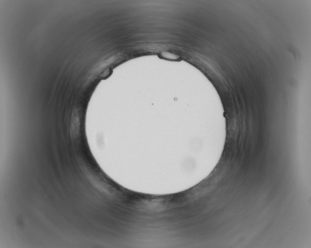 X0000112750120200910011203