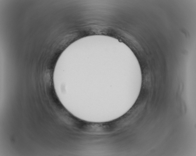 X0000112750121200910011203