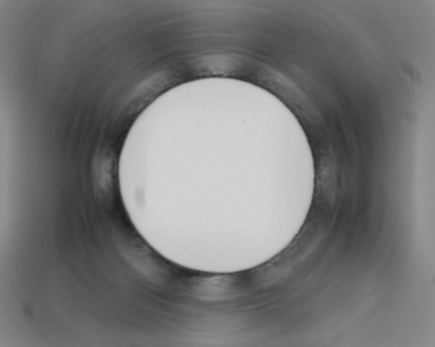 X0000112750122200910011203