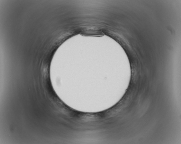 X0000112750123200910011203