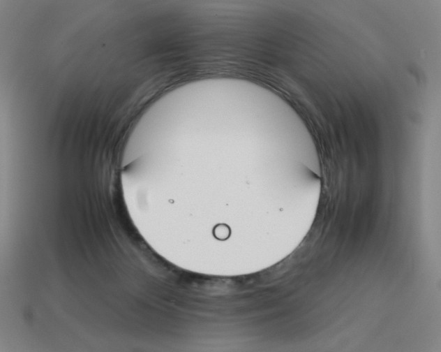 X0000112750124200910011203