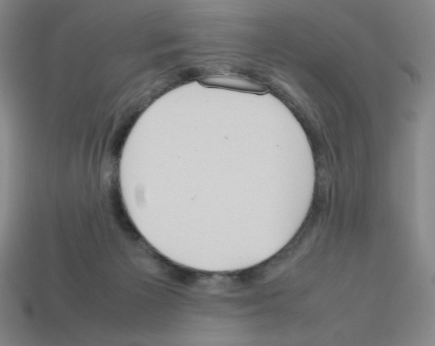 X0000112750125200910011203